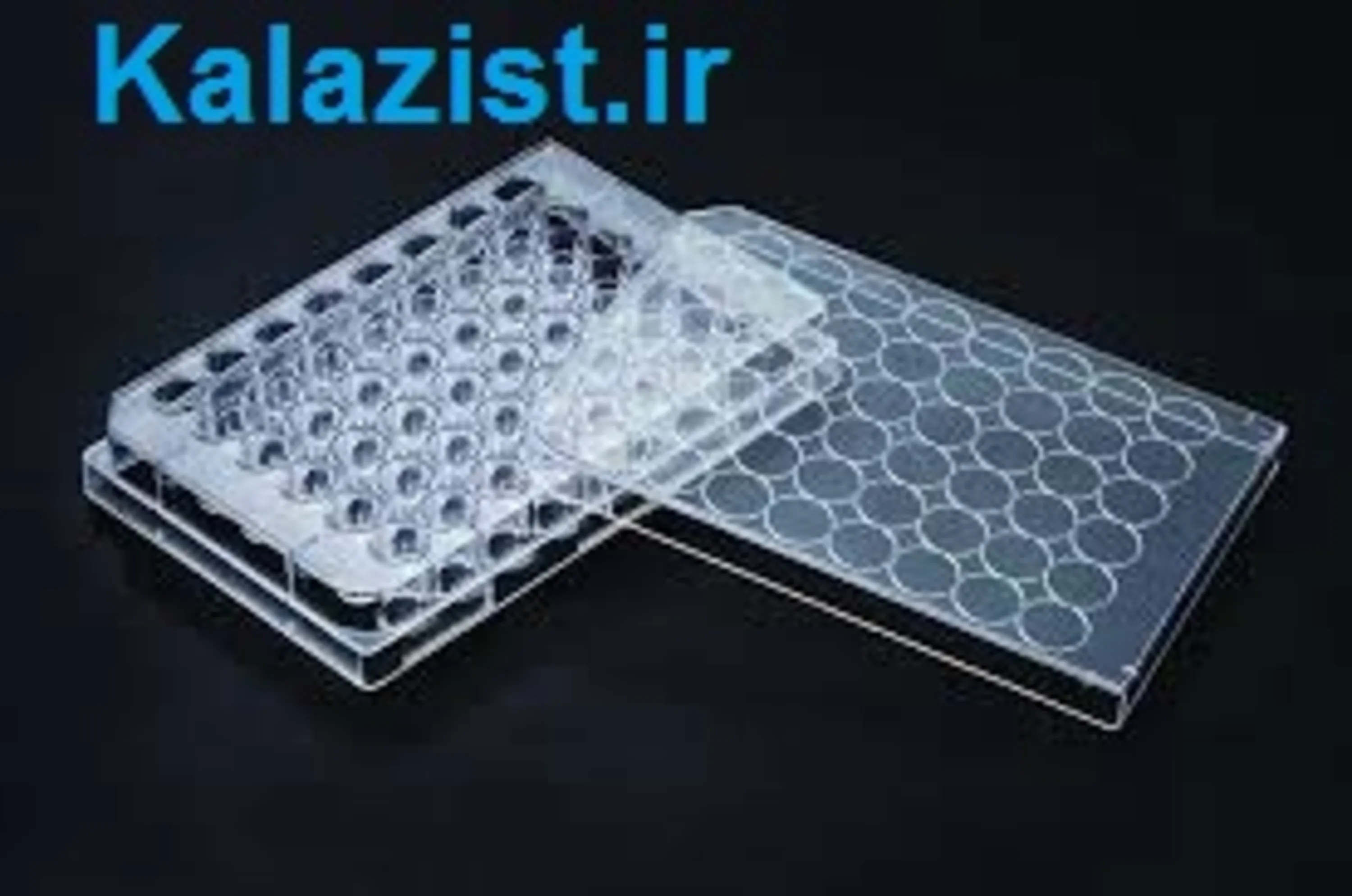 پلیت کشت سلول 96 خانه SPL کالا زیست kalazist پلیت کشت سلول 96 خانه SPL کالا زیست kalazist